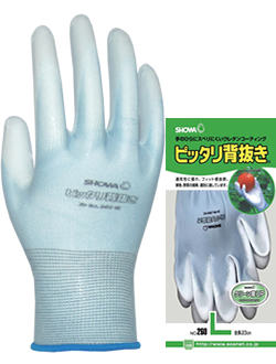 #260 'Pittari Senuki'