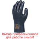 #301H 'Dailove' (для холодных регионов)